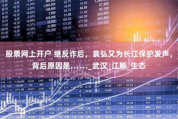 股票网上开户 继反诈后，袁弘又为长江保护发声，背后原因是……_武汉_江豚_生态