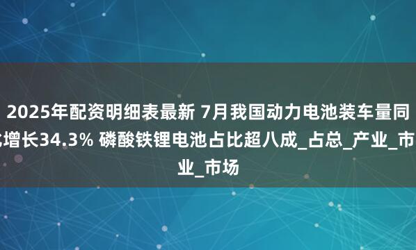2025年配资明细表最新 7月我国动力电池装车量同比增长34.3% 磷酸铁锂电池占比超八成_占总_产业_市场